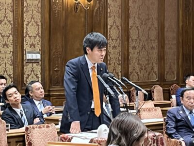 11/10 内閣委員会（国家公務員等の給与法改正案）