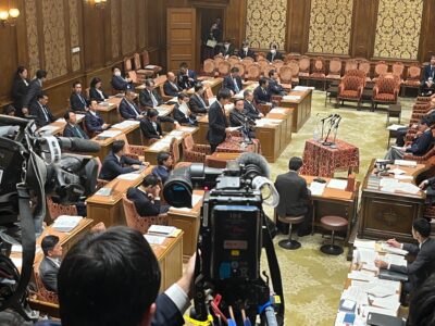 11/10 内閣委員会「討論」（国家公務員等の給与法改正案）